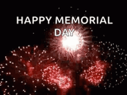 Memorial Day Fireworks GIF
