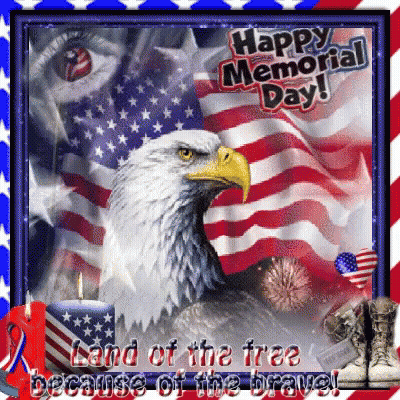 Memorial Day Remembering Those Who Died For Freedoms GIF