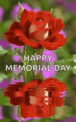 Memorial Day Rose GIF