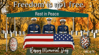 Memorial Day Soldiers Holding American Flag In Cemetery GIF