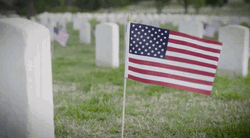 Memorial Usa Flag  GIF
