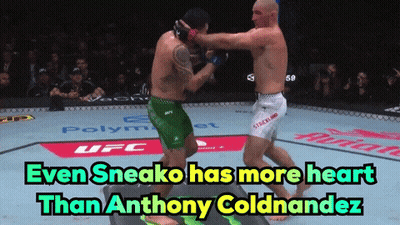 Men Fighting In UFC Ring GIF