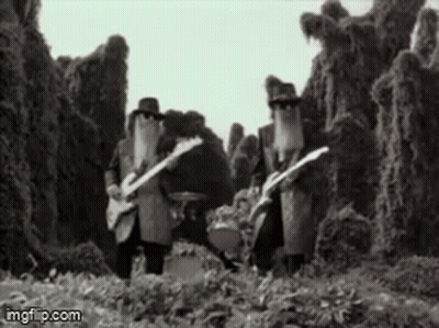 Men Playing Guitars In A Field GIF