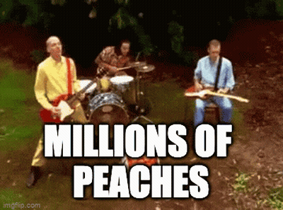 Men Playing Instruments In Field Saying Millions Of Peaches GIF