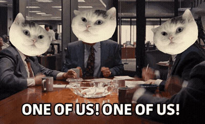 Men Sitting With Cats On Heads GIF