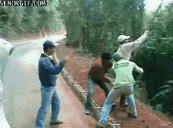 Men Swinging At The Border GIF