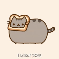 Meow Cutie GIF