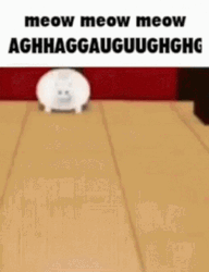 Meow Meow Meow Cat Covered In Donuts GIF