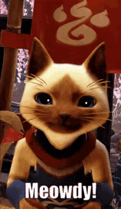 Meowdy GIF