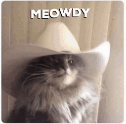 Meowdy Howdy Cat GIF