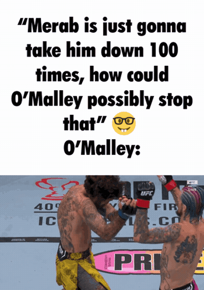 Merab Fighter Meme GIF