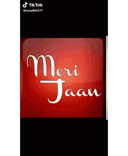 Meri Jaan Text On Red Background Sticker