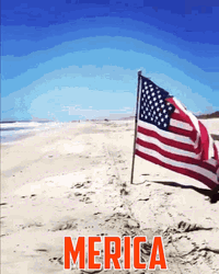 Merica Murica Beach Ready Body GIF