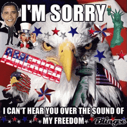 Merica Murica In One Picture  GIF