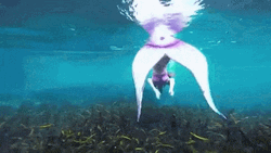 Mermaid Fast Diving GIF