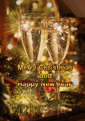 Merry Christmas And Happy New Year Champagne Wine Glass Cheers Sparkling GIF
