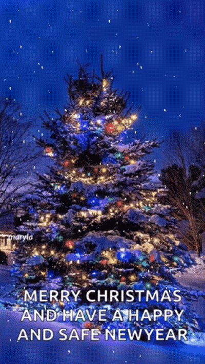 Merry Christmas And Happy New Year Greeting GIF
