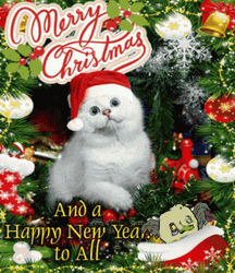Merry Christmas Animated White Cat GIF