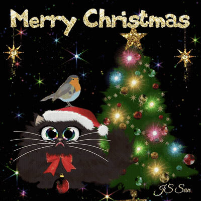 Merry Christmas Card With Black Cat And Robin GIF