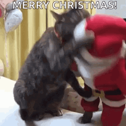 Merry Christmas Cat Fighting GIF