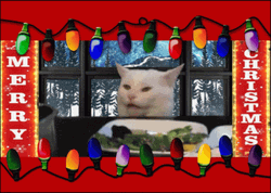Merry Christmas Cat Frame Lights GIF