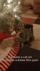 Merry Christmas Cat Playing Decoration GIF