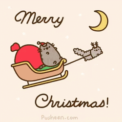 Merry Christmas Cat Riding Sleigh GIF