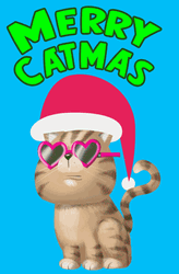 Merry Christmas Cat Swag Look GIF