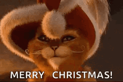 Merry Christmas Cat Widen Eyes GIF