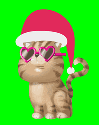Merry Christmas Cat With Heart Glasses GIF