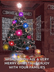 Merry Christmas Family Seasons Greetings GIF