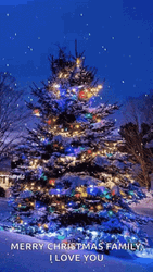 Merry Christmas Family Snow Tree Love GIF