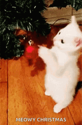 Merry Christmas Funny Cat Playing Christmas Balls GIF