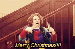 Merry Christmas Funny Kristen Wiig Oh My Gosh GIF