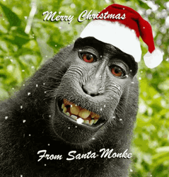 Merry Christmas Funny Smiling Santa Monkey  GIF