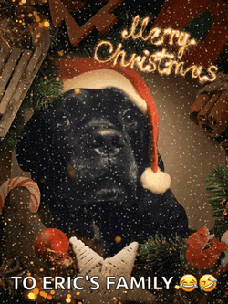 Merry Christmas Happy Holidays GIF