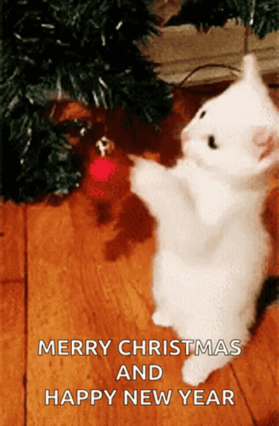 Merry Christmas Happy New Year Card GIF
