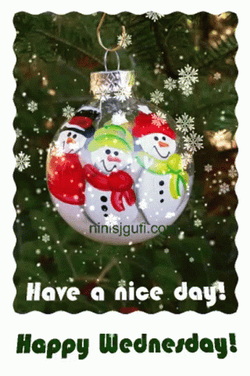 Merry Christmas Have A Happy Wednesday GIF