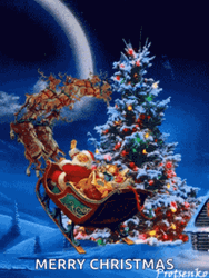 Merry Christmas Meme GIFs | GIFDB.com