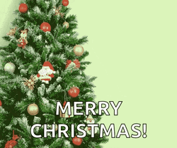 Merry Christmas Playful Cat GIF