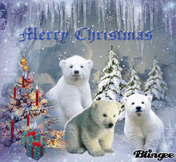 Merry Christmas Polar Bear GIF