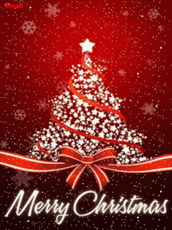 Merry Christmas To You And Your Family GIF