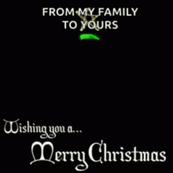 Merry Christmas Wishes From My Family GIF