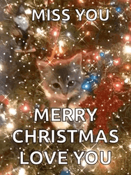 Merry Christmas Wishes Miss You Kitten GIF