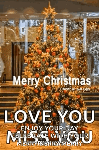 Merry Christmas With Christmas Tree GIF