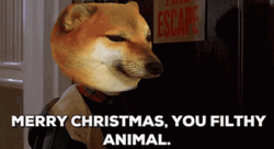 Merry Christmas Ya Filthy Animal GIF