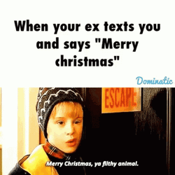 Merry Christmas Ya Filthy Animal GIF