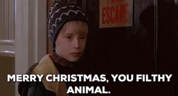 Merry Christmas You Filthy Animal Run GIF