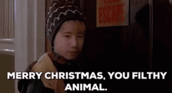 Merry Christmas You Filthy Animals GIF