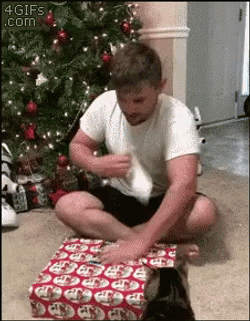 Merry Christmas You Filthy Animals GIF